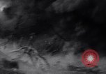 Image of Japanese soldiers surrender to marines Iwo Jima, 1945, second 42 stock footage video 65675026276