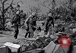 Image of Japanese soldiers surrender to marines Iwo Jima, 1945, second 52 stock footage video 65675026276