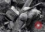Image of End of Iwo Jima campaign Iwo Jima, 1945, second 51 stock footage video 65675026277