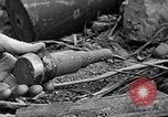 Image of End of Iwo Jima campaign Iwo Jima, 1945, second 60 stock footage video 65675026277