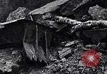 Image of US Marines of the 4th Division Iwo Jima, 1945, second 15 stock footage video 65675026278
