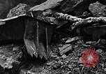 Image of US Marines of the 4th Division Iwo Jima, 1945, second 17 stock footage video 65675026278