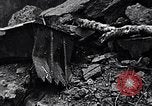 Image of US Marines of the 4th Division Iwo Jima, 1945, second 18 stock footage video 65675026278