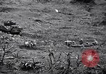 Image of US 4th Marine Division in battle for Iwo Jima Iwo Jima, 1945, second 38 stock footage video 65675026279