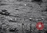 Image of US 4th Marine Division in battle for Iwo Jima Iwo Jima, 1945, second 39 stock footage video 65675026279