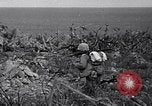 Image of 4th Marine Division  Iwo Jima, 1945, second 44 stock footage video 65675026280