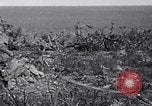 Image of 4th Marine Division  Iwo Jima, 1945, second 50 stock footage video 65675026280