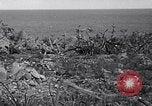 Image of 4th Marine Division  Iwo Jima, 1945, second 53 stock footage video 65675026280