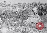 Image of Marines moving along a ridge Iwo Jima, 1945, second 59 stock footage video 65675026281