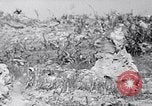 Image of Marines moving along a ridge Iwo Jima, 1945, second 60 stock footage video 65675026281