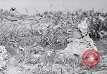 Image of Marines moving along a ridge Iwo Jima, 1945, second 61 stock footage video 65675026281