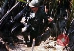 Image of search and destroy operation Vietnam, 1967, second 42 stock footage video 65675026285