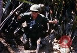 Image of search and destroy operation Vietnam, 1967, second 43 stock footage video 65675026285