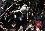 Image of search and destroy operation Vietnam, 1967, second 45 stock footage video 65675026285