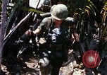 Image of search and destroy operation Vietnam, 1967, second 46 stock footage video 65675026285