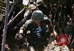 Image of search and destroy operation Vietnam, 1967, second 47 stock footage video 65675026285
