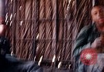 Image of search and destroy operation Vietnam, 1967, second 12 stock footage video 65675026287