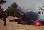 Image of search and destroy operation Vietnam, 1967, second 30 stock footage video 65675026287