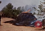 Image of search and destroy operation Vietnam, 1967, second 31 stock footage video 65675026287