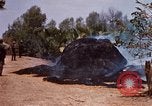 Image of search and destroy operation Vietnam, 1967, second 34 stock footage video 65675026287
