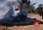 Image of search and destroy operation Vietnam, 1967, second 36 stock footage video 65675026287