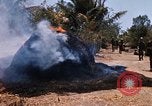 Image of search and destroy operation Vietnam, 1967, second 37 stock footage video 65675026287
