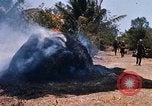 Image of search and destroy operation Vietnam, 1967, second 40 stock footage video 65675026287