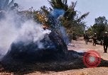 Image of search and destroy operation Vietnam, 1967, second 43 stock footage video 65675026287