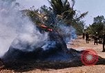 Image of search and destroy operation Vietnam, 1967, second 44 stock footage video 65675026287