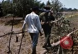 Image of search and destroy operation Vietnam, 1967, second 48 stock footage video 65675026287