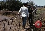 Image of search and destroy operation Vietnam, 1967, second 51 stock footage video 65675026287