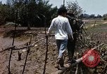 Image of search and destroy operation Vietnam, 1967, second 52 stock footage video 65675026287