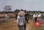 Image of search and destroy operation Vietnam, 1967, second 56 stock footage video 65675026287