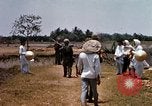 Image of search and destroy operation Vietnam, 1967, second 58 stock footage video 65675026287