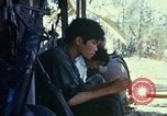Image of search and destroy operation Vietnam, 1967, second 20 stock footage video 65675026288