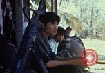 Image of search and destroy operation Vietnam, 1967, second 25 stock footage video 65675026288