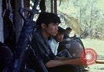Image of search and destroy operation Vietnam, 1967, second 26 stock footage video 65675026288