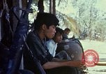 Image of search and destroy operation Vietnam, 1967, second 27 stock footage video 65675026288