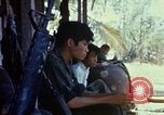 Image of search and destroy operation Vietnam, 1967, second 28 stock footage video 65675026288