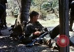 Image of search and destroy operation Vietnam, 1967, second 38 stock footage video 65675026288