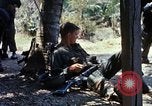 Image of search and destroy operation Vietnam, 1967, second 39 stock footage video 65675026288