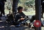 Image of search and destroy operation Vietnam, 1967, second 40 stock footage video 65675026288