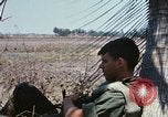 Image of search and destroy operation Vietnam, 1967, second 45 stock footage video 65675026288