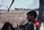 Image of search and destroy operation Vietnam, 1967, second 48 stock footage video 65675026288