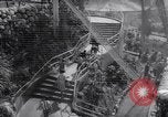 Image Los Angeles Zoo Los Angeles California USA, 1966, de la seconde 16 séquences d'archives historiques vidéo 65675026292