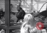Image Los Angeles Zoo Los Angeles California USA, 1966, de la seconde 30 séquences d'archives historiques vidéo 65675026292