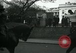 Image of Armistice parade Washington DC USA, 1918, second 24 stock footage video 65675026301