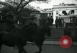 Image of Armistice parade Washington DC USA, 1918, second 27 stock footage video 65675026301
