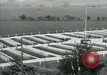 Immagine di Il cimitero di Argonne Francia, 1919, secondo 14 filmato di repertorio 65675026317