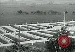 Immagine di Il cimitero di Argonne Francia, 1919, secondo 15 filmato di repertorio 65675026317